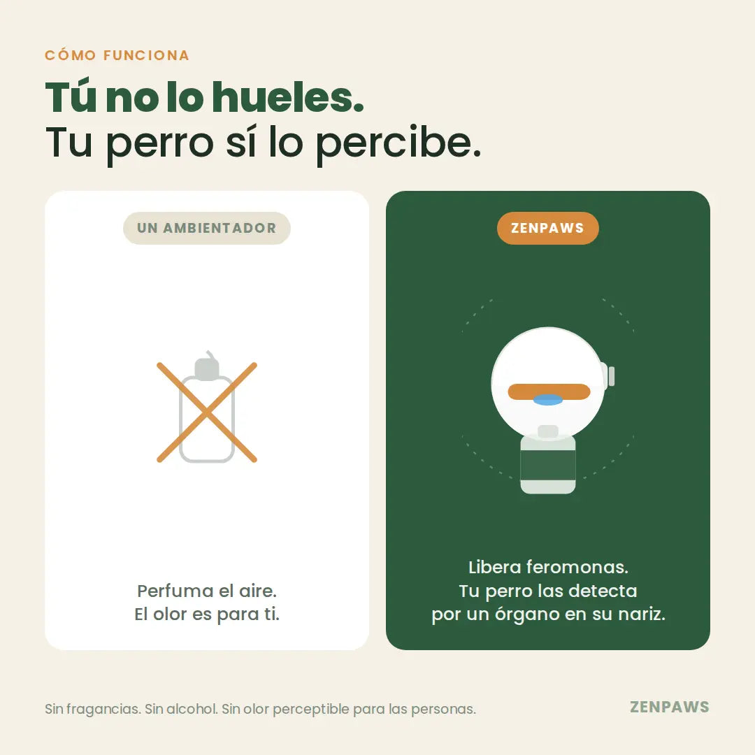 Kit ZenPaws™ - Difusor + recarga